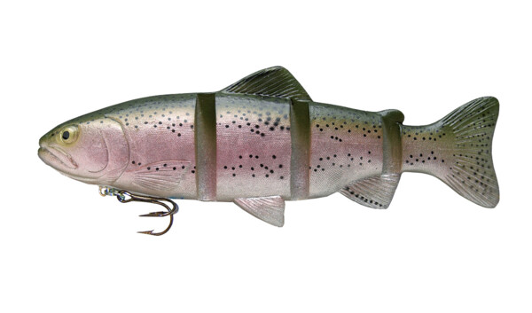 CS-C226SSRT catch 22 series 6" slow sinking rainbow trout