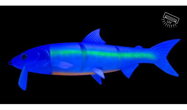 HYRO25FB RenkyOne - Hybrid Fishing Lure 10" (ca. 25 cm) slow sinking Funky Blue