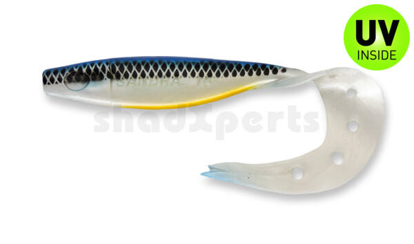 006024011FBA Sandra 7" (ca. 18 cm) pearl white / blue / fluo belly / black stripes