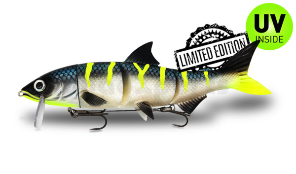 HYRO25ECS RenkyOne - Hybrid Fishing Lure 10" (ca. 25 cm) slow sinking Electric Stripez