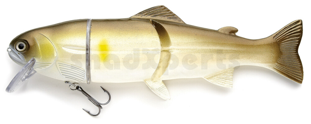 CS20A Castaic Real Bait 8"(20cm) AYU - floating