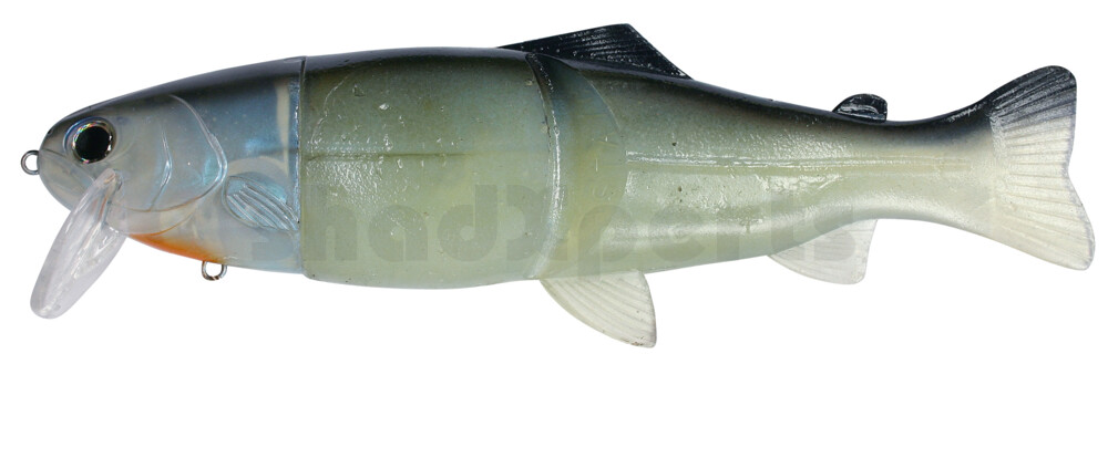 CS20BG Castaic Real Bait 8"(20cm) Blue Gill - floating