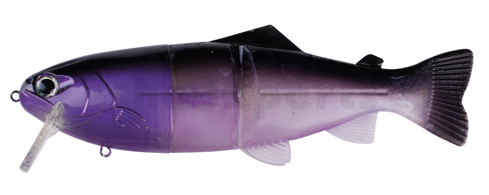 CS20MS Castaic Real Bait 8"(20cm) Mad Shad - floating