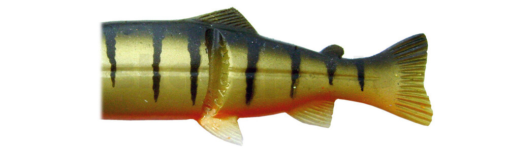 CS20E-PO Ersatzkörper für Castaic-Real-Bait - 8" (20cm) Perch Orange