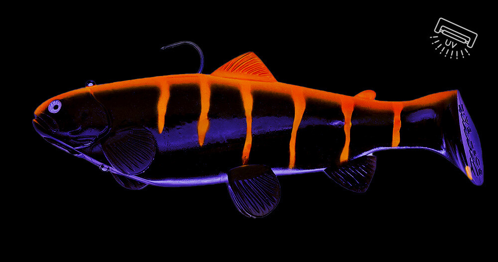 SBT25BO Castaic Swim Bait Trout 2.0 - 10" (25cm) sinking Black Orange