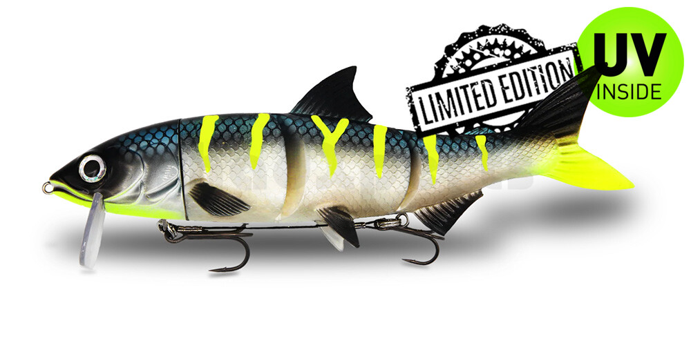 HYRO25ECS RenkyOne - Hybrid Fishing Lure 10" (ca. 25 cm) slow sinking Electric Stripez